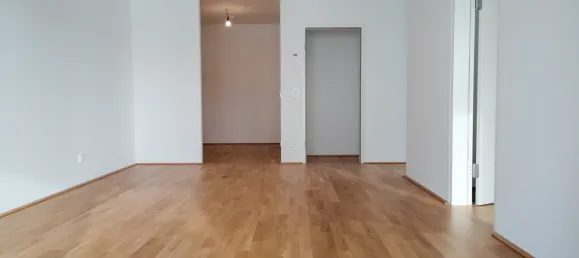 2-Zimmer Wohnung in Feldkirchen bei Mattighofen, Austria, Nr. 201086 3