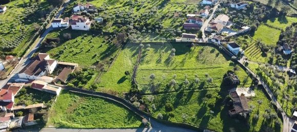 7 bedrooms House in Cabecudo, Portugal No. 176635 41