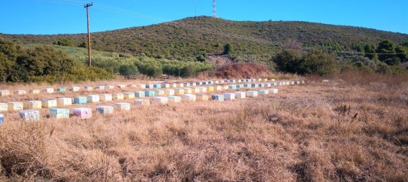 Hotel en Polygyros, Greece 12000 m² No. 5245 3