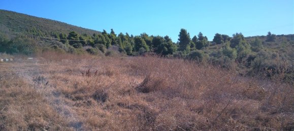 Hotel en Polygyros, Greece 12000 m² No. 5245 4