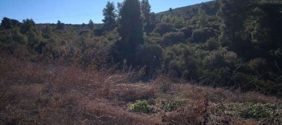 Hotel en Polygyros, Greece 12000 m² No. 5245 5