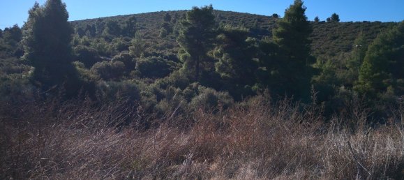 Hotel en Polygyros, Greece 12000 m² No. 5245 7