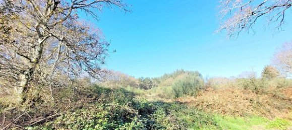 Terrain à A Coruna, Spain No. 46332 8