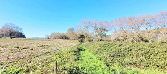 Terrain à A Coruna, Spain No. 46332 4