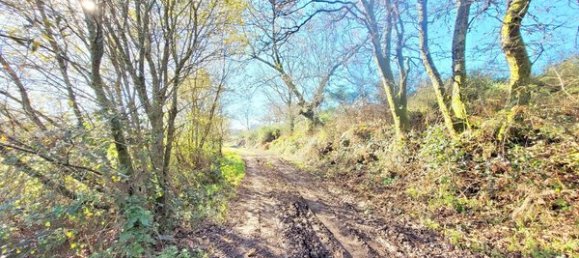 Terrain à A Coruna, Spain No. 46332 11