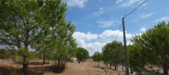 Land in Mexilhoeira Grande, Portugal No. 31466 16