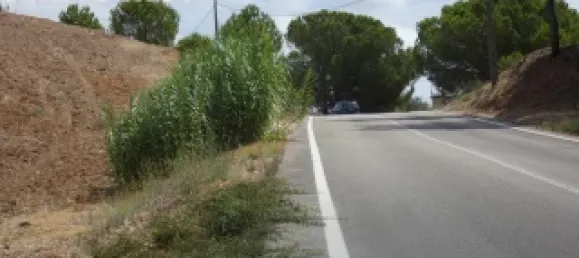 Land in Mexilhoeira Grande, Portugal No. 31466 23