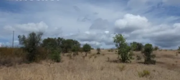 Land in Mexilhoeira Grande, Portugal No. 31466 3