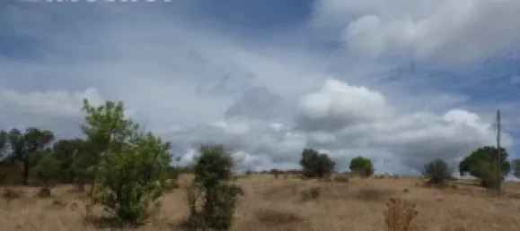 Land in Mexilhoeira Grande, Portugal No. 31466 2