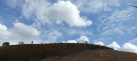 Land in Mexilhoeira Grande, Portugal No. 31466 19