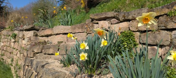 4-salle Maison à Ortenaukreis, Germany No. 5588 11