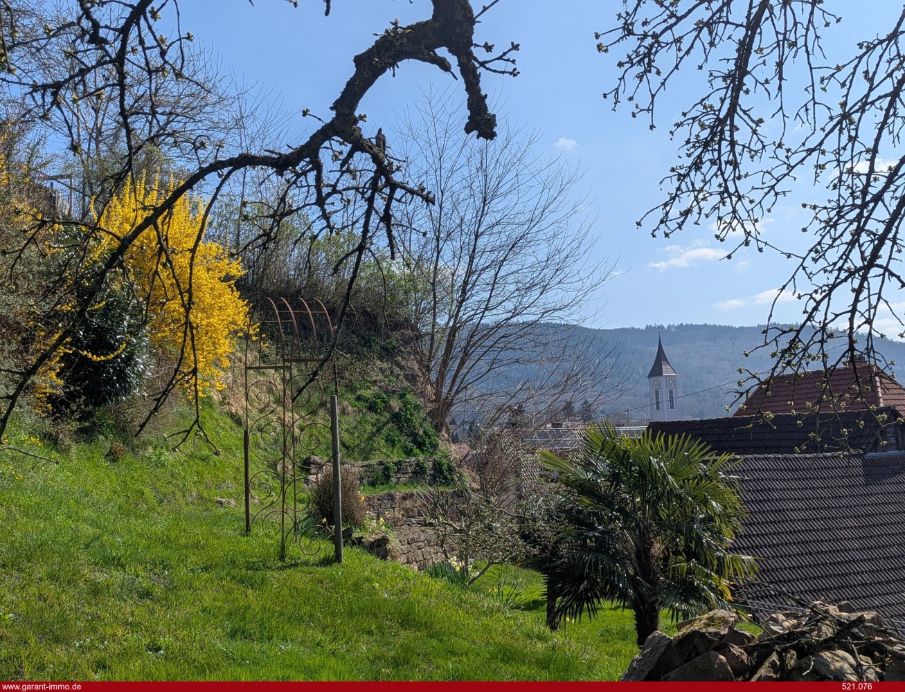 4-salle Maison à Ortenaukreis, Germany No. 5588