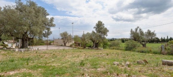 7 bedrooms House in Mallorca, Spain No. 30666 30