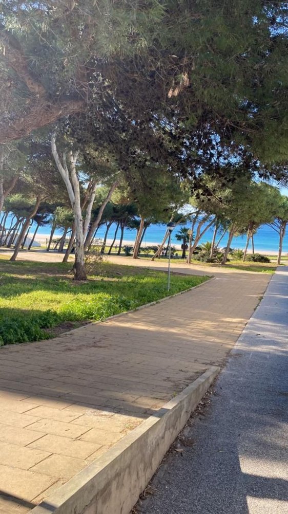 Квартира с 3 спальнями в Кадис, Испания № 157716