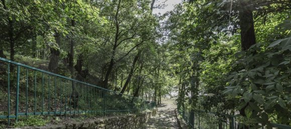 15 rooms House in Pelago, Italy No. 199601 2