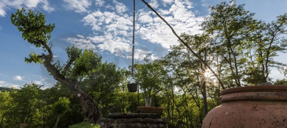 15 rooms House in Pelago, Italy No. 199601 9