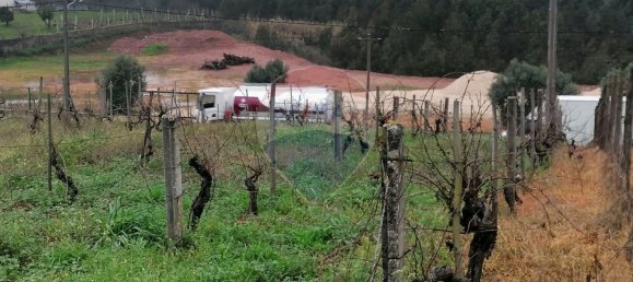 2080m² Land in Vacarica, Portugal No. 70478 5