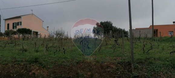 2080m² Land in Vacarica, Portugal No. 70478 7