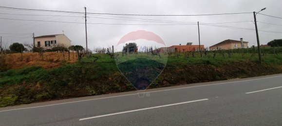 2080m² Land in Vacarica, Portugal No. 70478 3