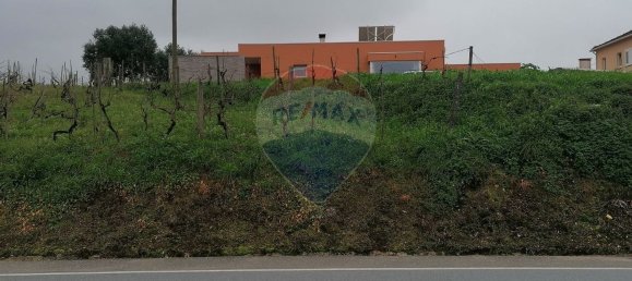 2080m² Land in Vacarica, Portugal No. 70478 6