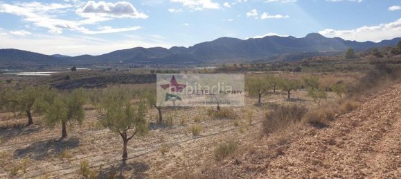 1 غرف نوم منزل في La Romana, Spain رقم 166085 12