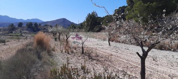 1 غرف نوم منزل في La Romana, Spain رقم 166085 6