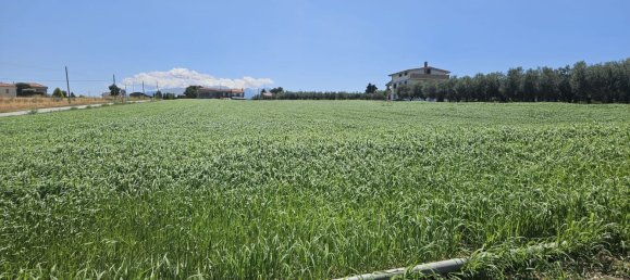 Terreno en Rosciano, Italy 5420 m² No. 270249 24
