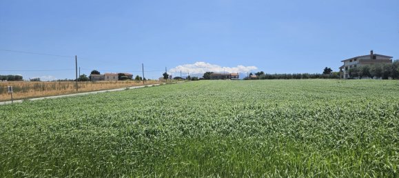 Terreno en Rosciano, Italy 5420 m² No. 270249 21