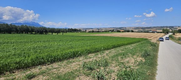 Terreno en Rosciano, Italy 5420 m² No. 270249 5