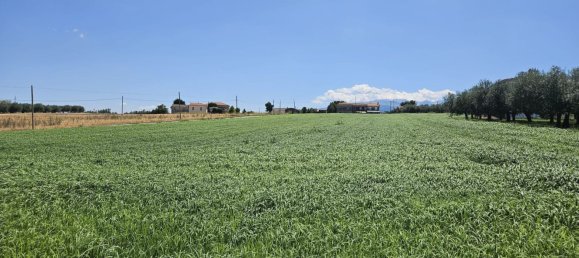 Terreno en Rosciano, Italy 5420 m² No. 270249 20