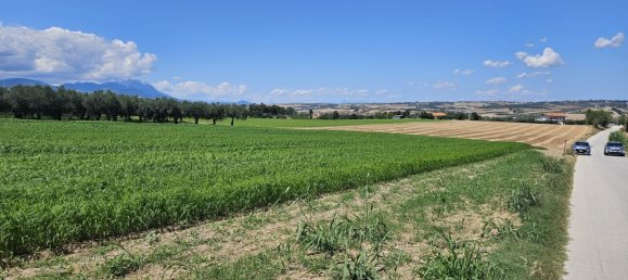 Terreno en Rosciano, Italy 5420 m² No. 270249 4