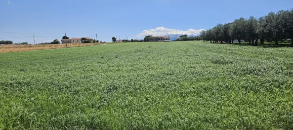 Terreno en Rosciano, Italy 5420 m² No. 270249 16