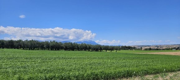 Terreno en Rosciano, Italy 5420 m² No. 270249 7