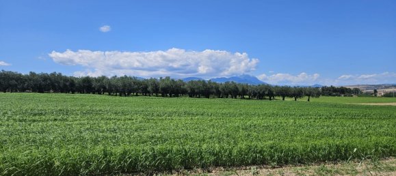 Terreno en Rosciano, Italy 5420 m² No. 270249 6