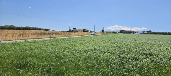 Terreno en Rosciano, Italy 5420 m² No. 270249 11