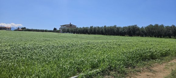 Terreno en Rosciano, Italy 5420 m² No. 270249 22