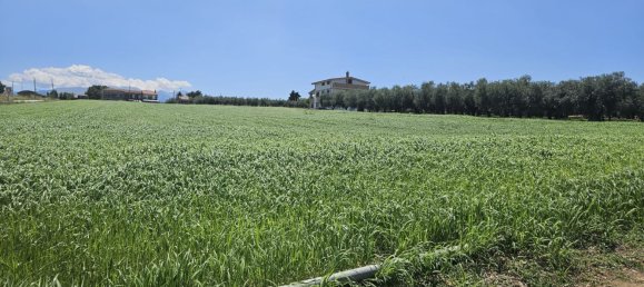 Terreno en Rosciano, Italy 5420 m² No. 270249 23