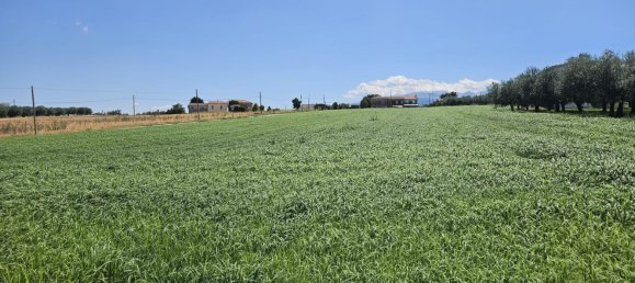 Terreno en Rosciano, Italy 5420 m² No. 270249 17