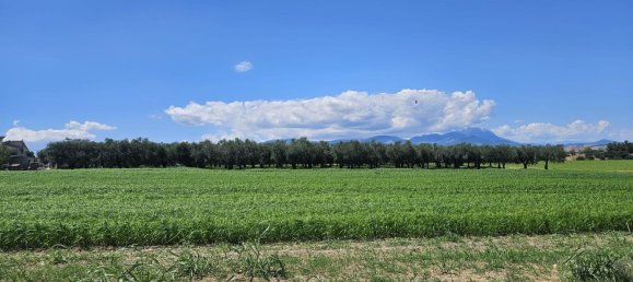 Terreno en Rosciano, Italy 5420 m² No. 270249 2