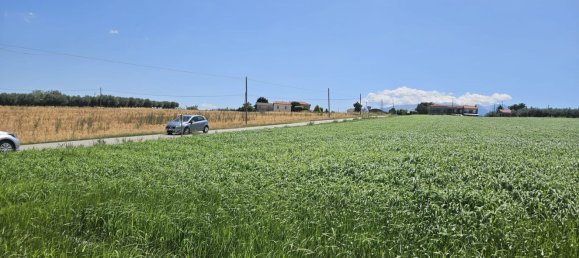Terreno en Rosciano, Italy 5420 m² No. 270249 12