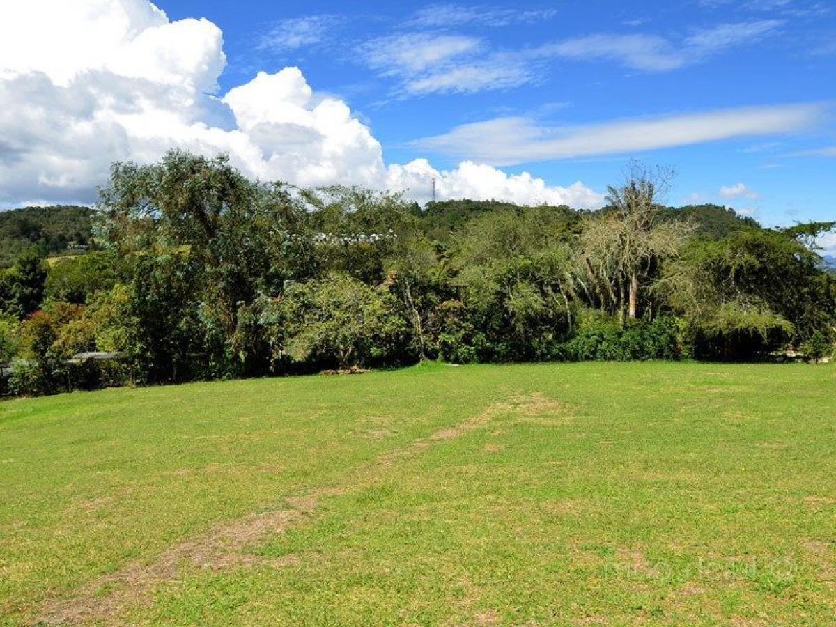  Land in Antioquia, Colombia No. 245