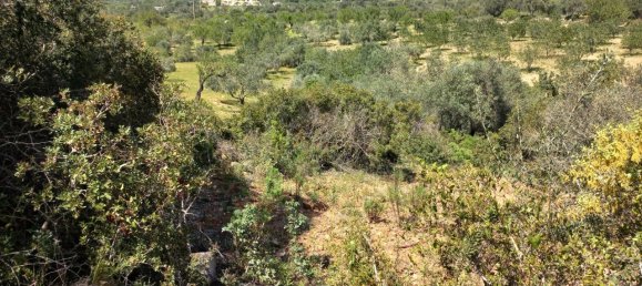12480m² Land in Faro, Portugal No. 58769 6
