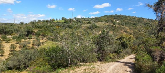 12480m² Land in Faro, Portugal No. 58769 32