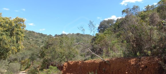 12480m² Land in Faro, Portugal No. 58769 13