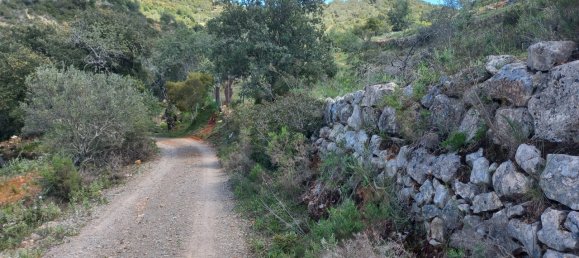 12480m² Land in Faro, Portugal No. 58769 2