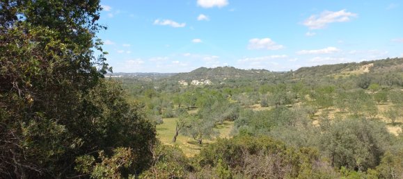 12480m² Land in Faro, Portugal No. 58769 29