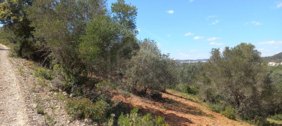 12480m² Land in Faro, Portugal No. 58769 24