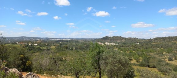 12480m² Land in Faro, Portugal No. 58769 9