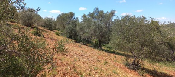 12480m² Land in Faro, Portugal No. 58769 20
