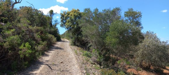 12480m² Land in Faro, Portugal No. 58769 25